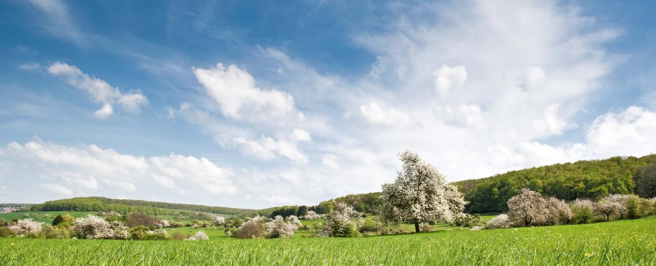 Bliesgaulandschaft im Saarpfalz-Kreis, Foto:Eike Dubois